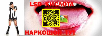 мяу мяу кристалл Владимир