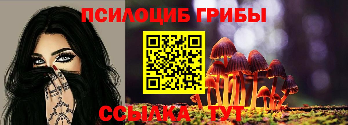 Псилоцибиновые грибы ЛСД  Вход с VPN  Галлюциногенные грибы Psilocybine cubensis  Клин 